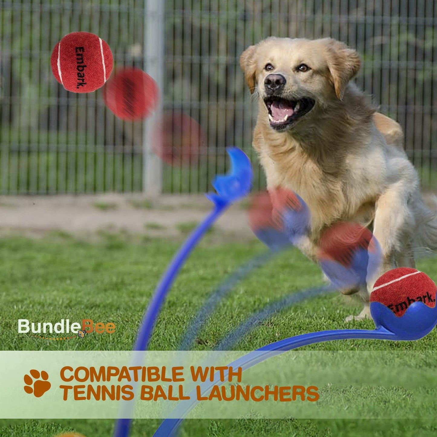 Petite Paws Colorful Squeaky Tennis Balls for Large Dogs and Puppies - 2.5 Inch - 12 Pack - Dog Training Toys for Positive Reinforcement, Interactive Squeaker Ball To Engage Attention Outside, Ball Launcher Fetch