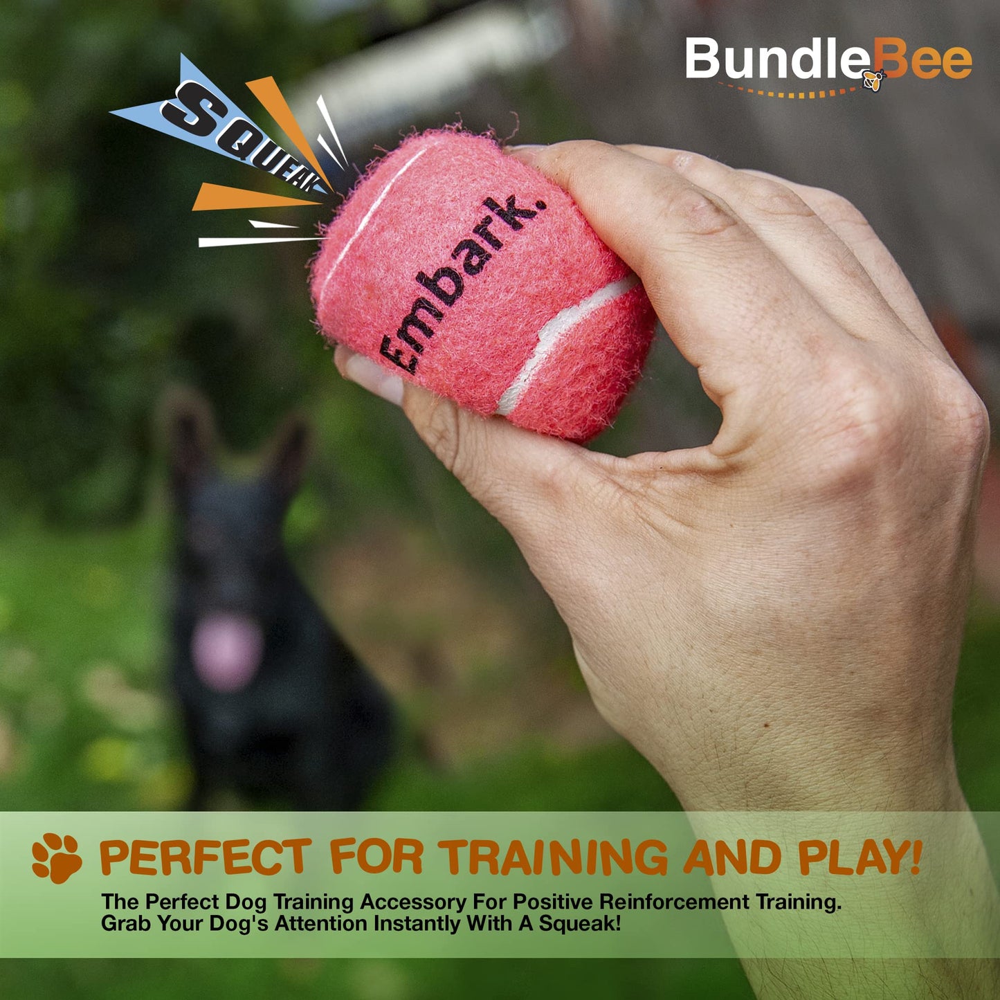 Petite Paws Colorful Squeaky Tennis Balls for Large Dogs and Puppies - 2.5 Inch - 6 Pack - Dog Training Toys for Positive Reinforcement, Interactive Squeaker Balls To Engage Attention Outside, Ball Launcher Fetch