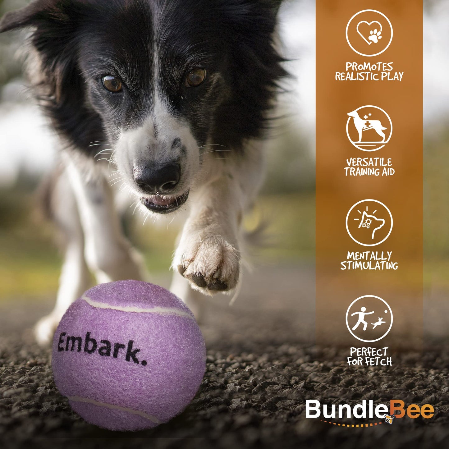 Petite Paws Colorful Squeaky Tennis Balls for Large Dogs and Puppies - 2.5 Inch - 6 Pack - Dog Training Toys for Positive Reinforcement, Interactive Squeaker Balls To Engage Attention Outside, Ball Launcher Fetch