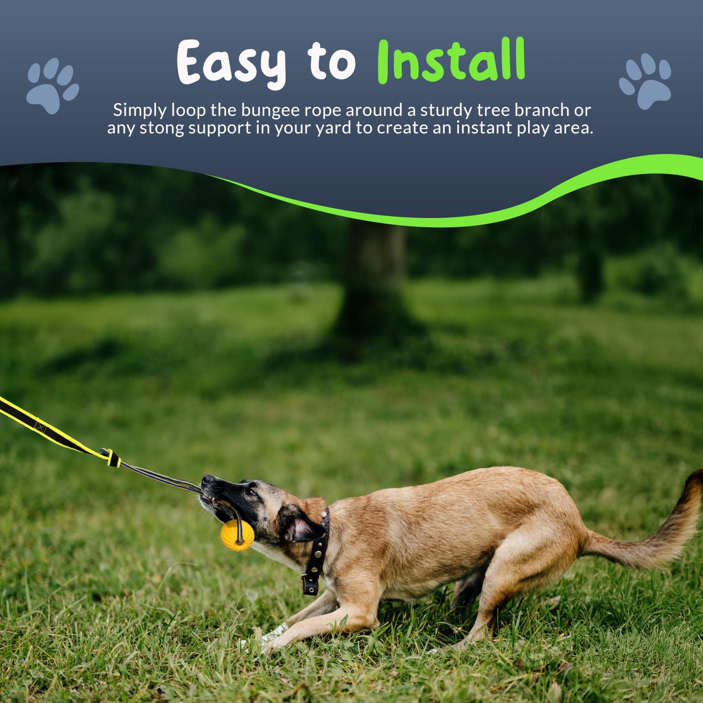 Petite Paws Tree Rope Toy for Dogs - Bungee Tug Toy for Small to Large Breeds - Outside Entertainment and Exercise Hanging Dog Toys Tug of War with Chew Rope and Ball Set (Reflective)