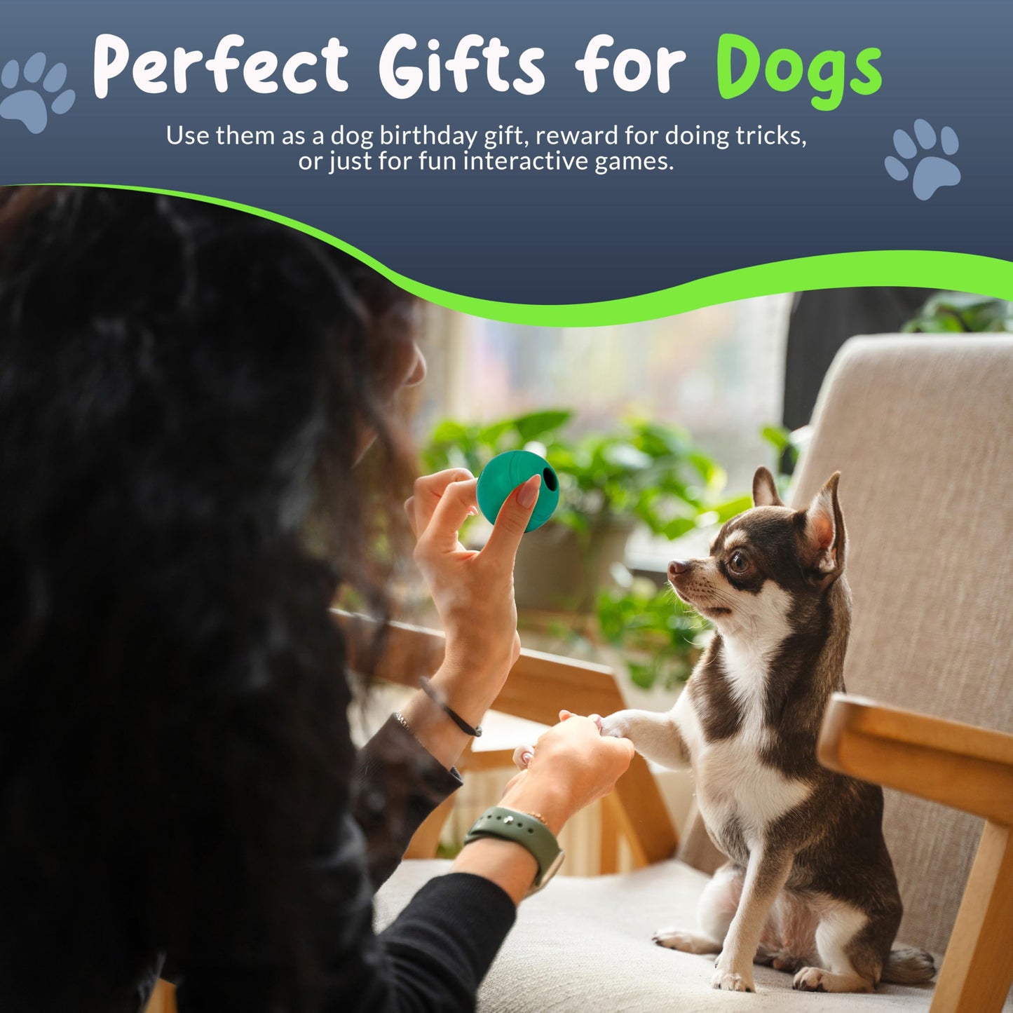 Petite Paws Balls for Aggressive Chewers - Small Dogs and Puppies Indestructible Rubber Dog Chew Toys Bulk for Miniature Toy Breeds