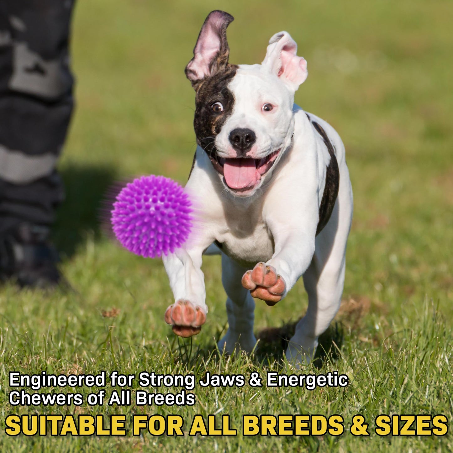 Petite Paws Spiky Dog Ball 3 Inch Squeaky Toy for Small - Medium Dogs Aggressive Chewers Puppy Teething Toys Dog Spike Ball for Training and Teeth Cleaning - 2 Pack