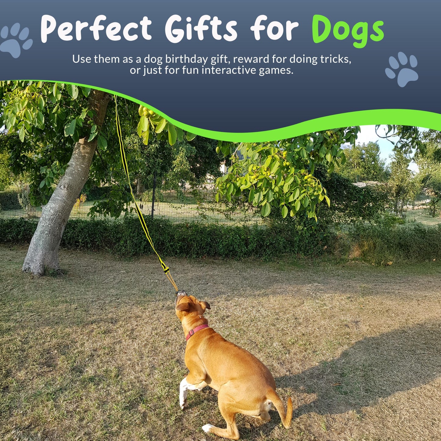Petite Paws Tree Rope Toy for Dogs - Bungee Tug Toy for Small to Large Breeds - Outside Entertainment and Exercise Hanging Dog Toys Tug of War with Chew Rope and Ball Set (Reflective)