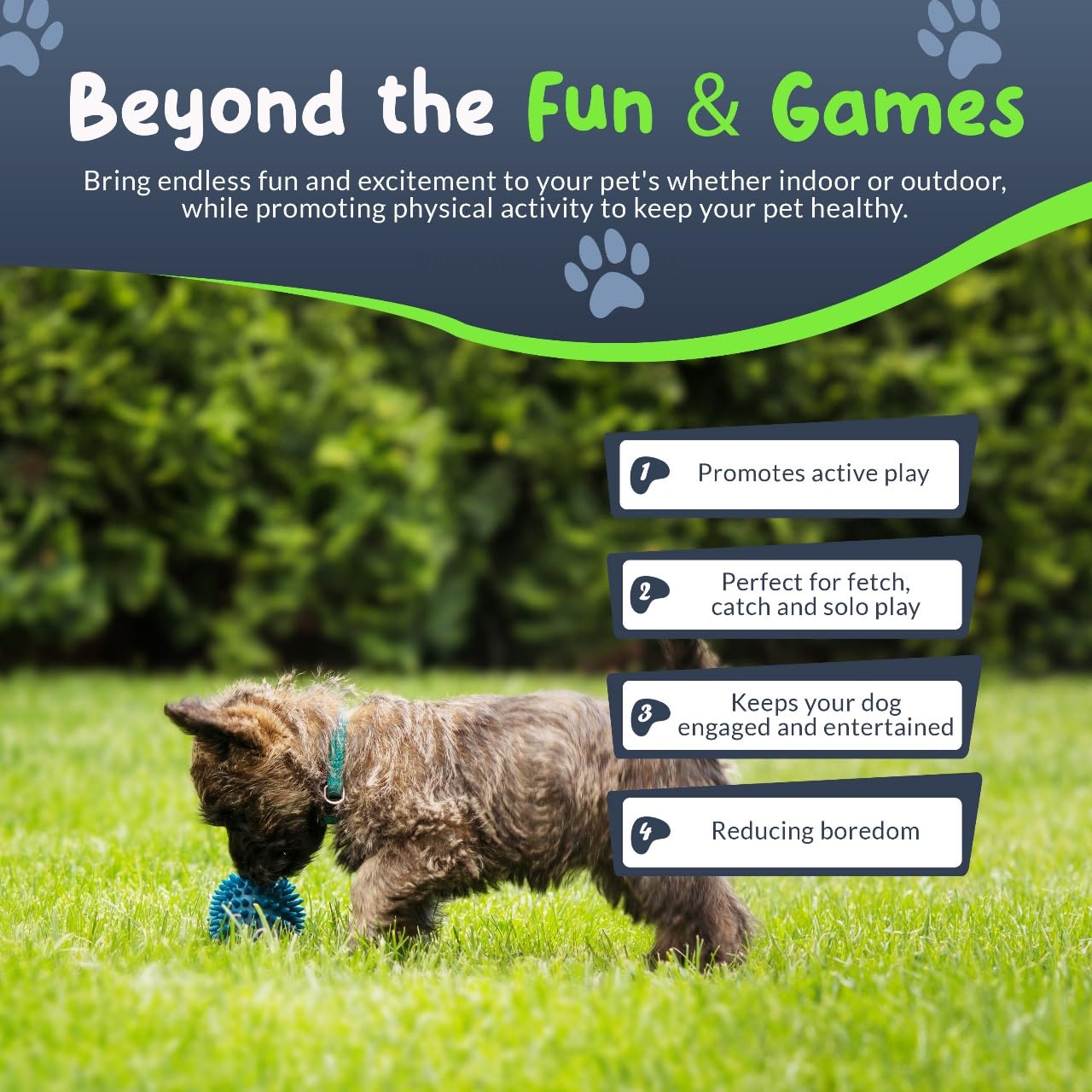 Petite Paws Spiky Dog Ball Squeaky Toy for Small Dogs Aggressive Chewers Puppy Teething Toys Dog Spike Ball for Training and Teeth Cleaning