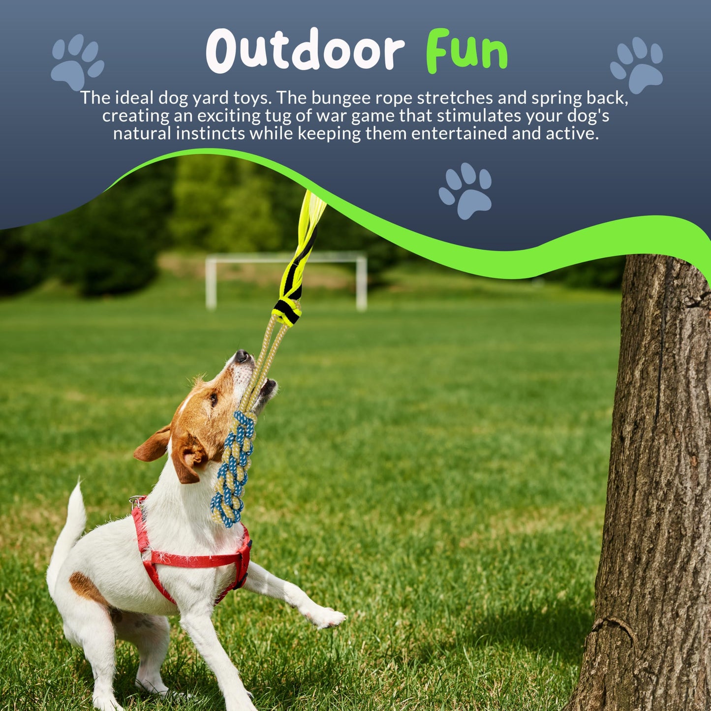 Petite Paws Tree Rope Toy for Dogs - Bungee Tug Toy for Small to Large Breeds - Outside Entertainment and Exercise Hanging Dog Toys Tug of War with Chew Rope and Ball Set (Reflective)