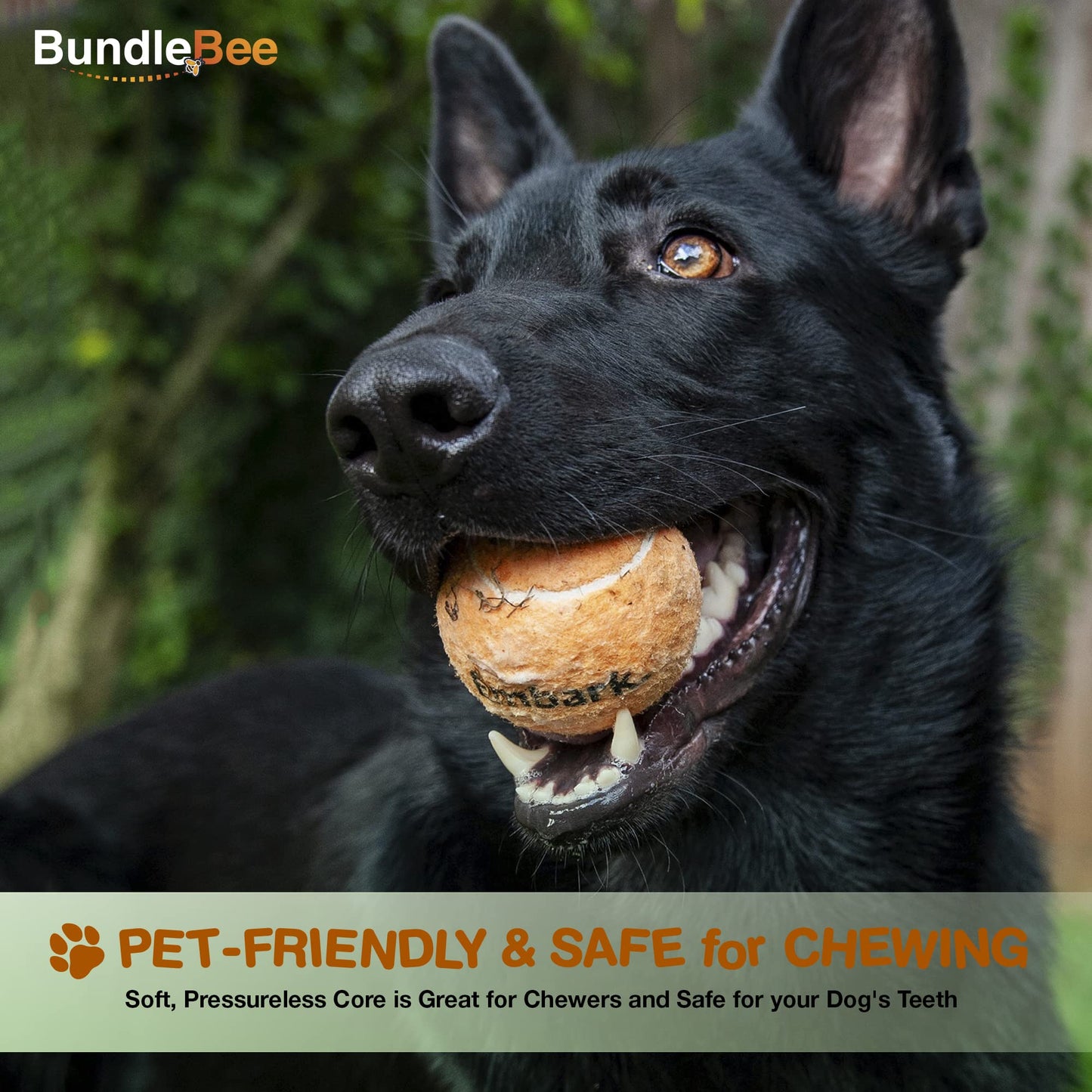 Petite Paws Colorful Squeaky Tennis Balls for Large Dogs and Puppies - 2.5 Inch - 6 Pack - Dog Training Toys for Positive Reinforcement, Interactive Squeaker Balls To Engage Attention Outside, Ball Launcher Fetch