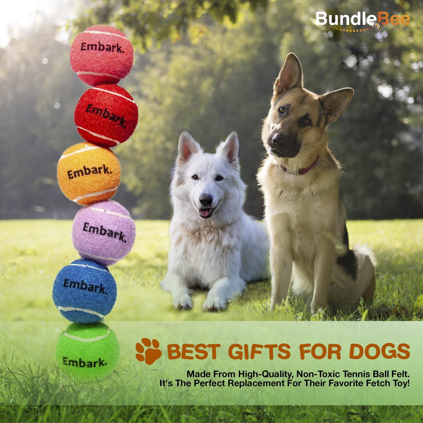 Petite Paws Colorful Squeaky Tennis Balls for Large Dogs and Puppies - 2.5 Inch - 6 Pack - Dog Training Toys for Positive Reinforcement, Interactive Squeaker Balls To Engage Attention Outside, Ball Launcher Fetch
