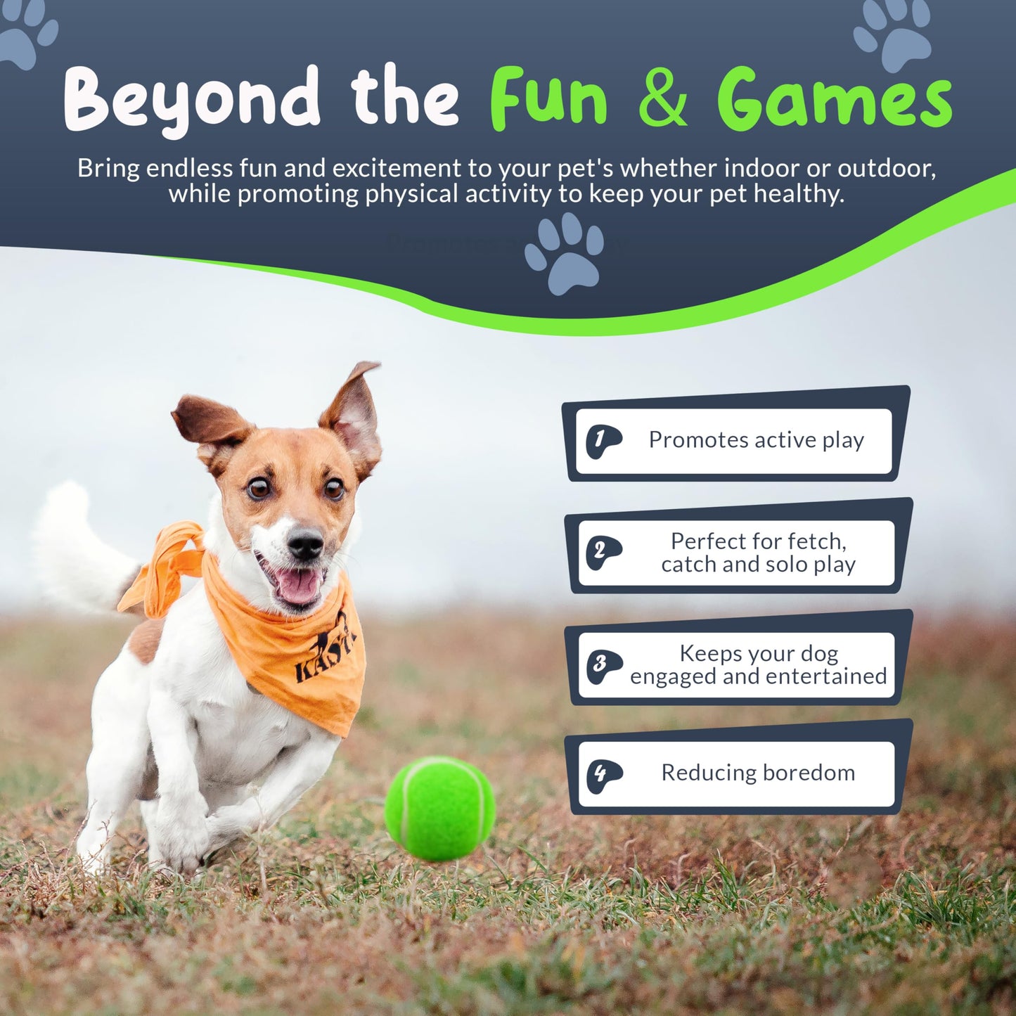 Petite Paws Mini Tennis Balls for Dogs 1.5 Inch - No Squeak Small Dog Balls for Small Breed and Puppies - Extra Small Interactive Fetch Toy for Dog Ball Launcher - 8 Pack