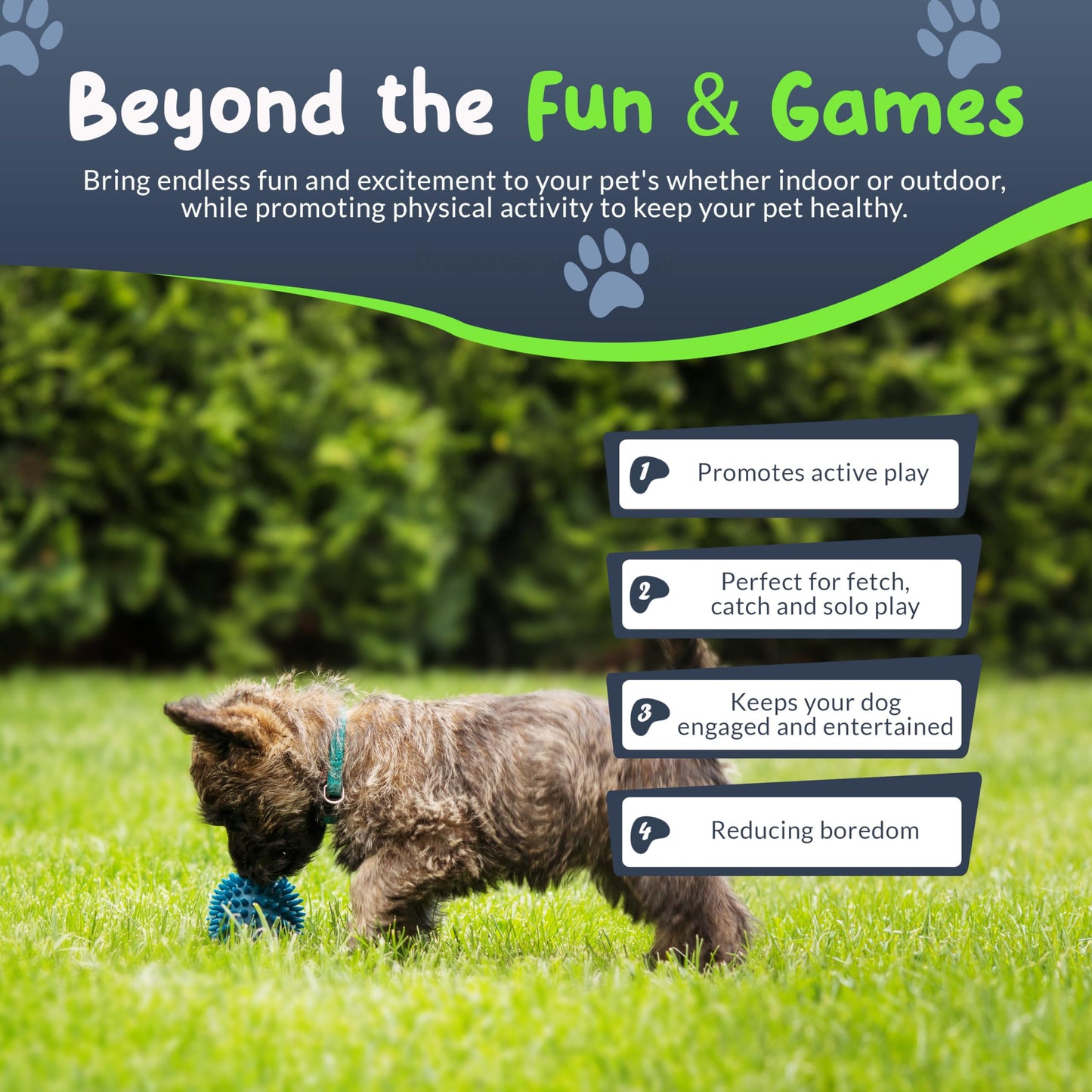 Petite Paws Spiky Dog Ball Squeaky Toy for Small Dogs Aggressive Chewers Puppy Teething Toys Dog Spike Ball for Training and Teeth Cleaning