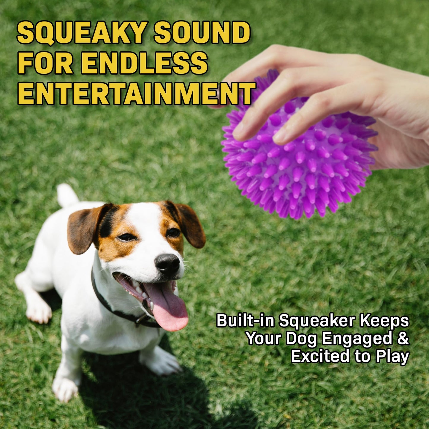 Petite Paws Spiky Dog Ball 3 Inch Squeaky Toy for Small - Medium Dogs Aggressive Chewers Puppy Teething Toys Dog Spike Ball for Training and Teeth Cleaning - 2 Pack