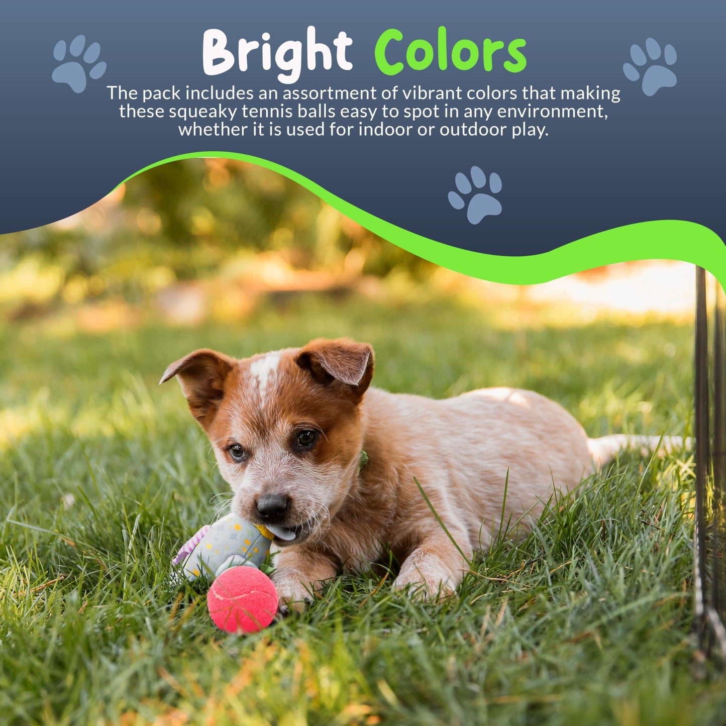 Petite Paws Mini Tennis Balls for Dogs 1.5 Inch - No Squeak Small Dog Balls for Small Breed and Puppies - Extra Small Interactive Fetch Toy for Dog Ball Launcher - 8 Pack