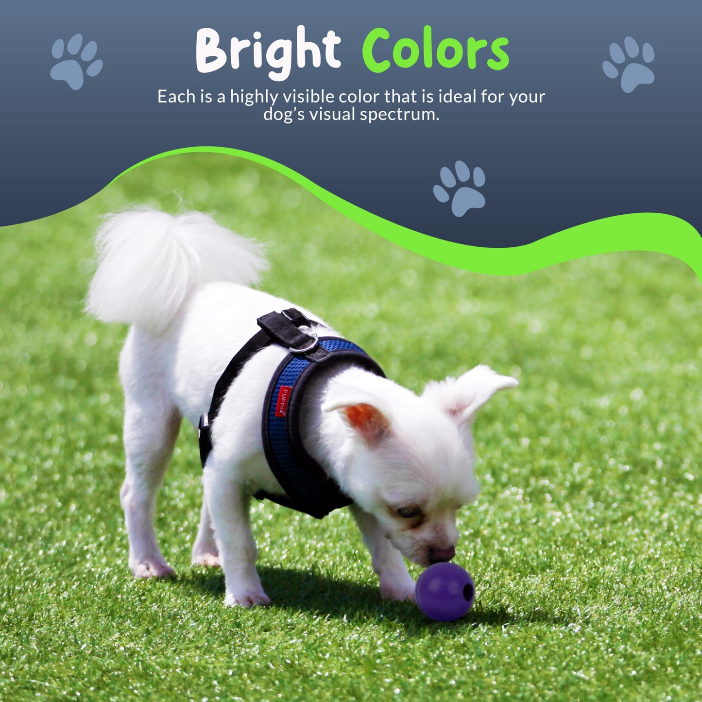 Petite Paws Balls for Aggressive Chewers - Small Dogs and Puppies Indestructible Rubber Dog Chew Toys Bulk for Miniature Toy Breeds