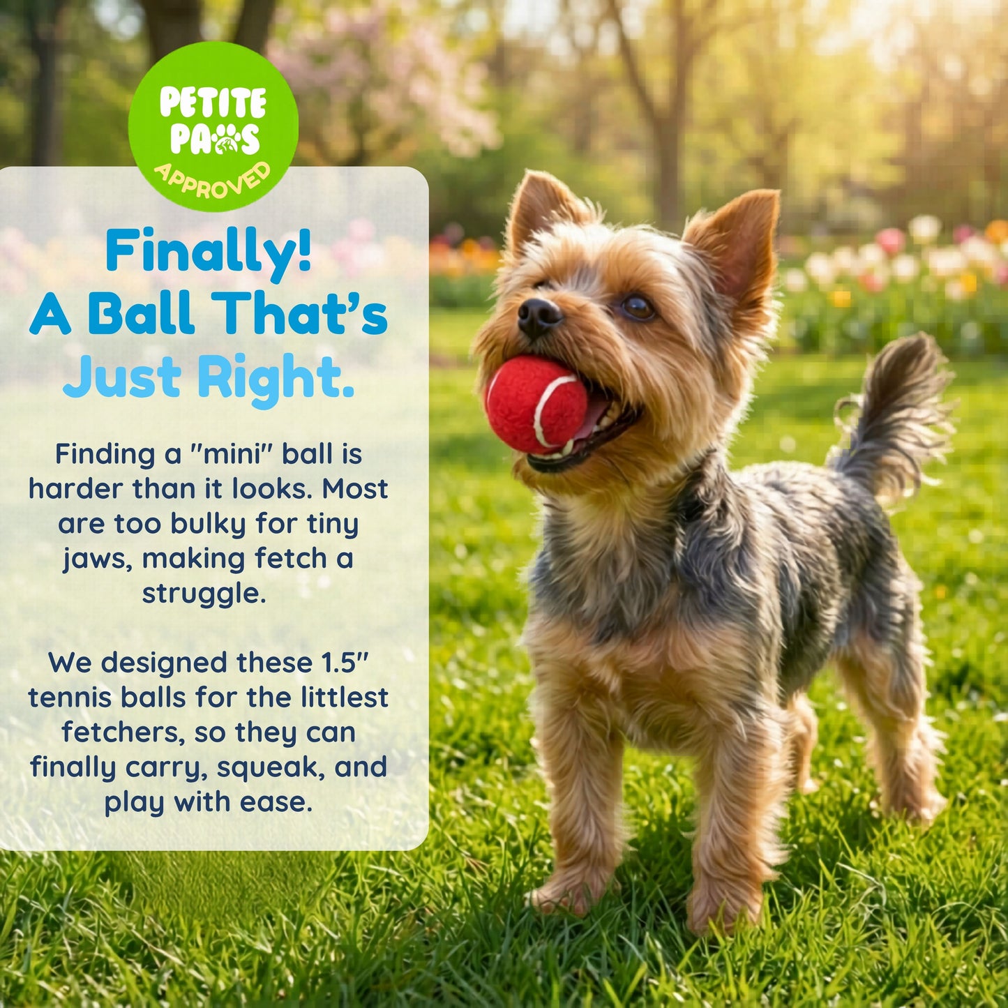 Squeaky Mini Tennis Balls for Small Dogs Puppy