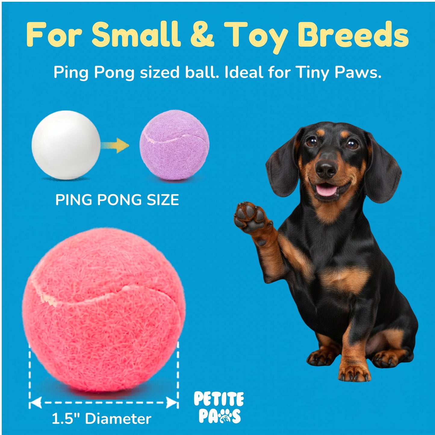 Squeaky Mini Tennis Balls for Small Dogs Puppy