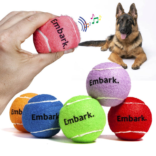Petite Paws Colorful Squeaky Tennis Balls for Large Dogs and Puppies - 2.5 Inch - 6 Pack - Dog Training Toys for Positive Reinforcement, Interactive Squeaker Balls To Engage Attention Outside, Ball Launcher Fetch