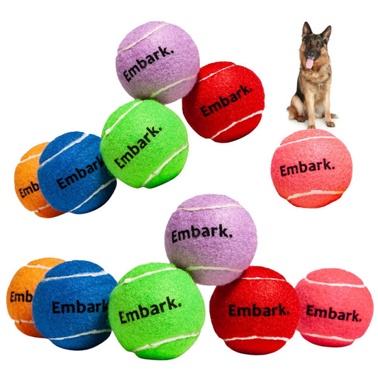 Petite Paws Colorful Squeaky Tennis Balls for Large Dogs and Puppies - 2.5 Inch - 12 Pack - Dog Training Toys for Positive Reinforcement, Interactive Squeaker Ball To Engage Attention Outside, Ball Launcher Fetch