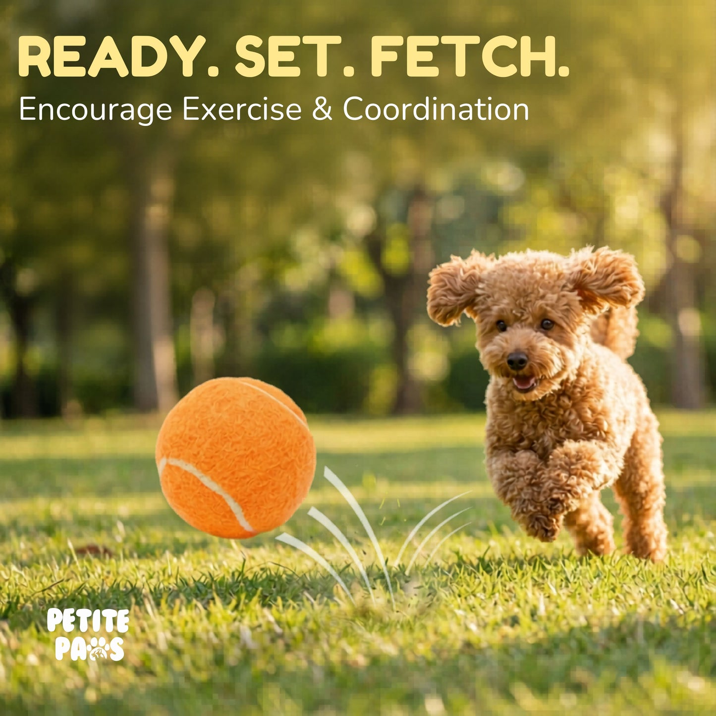 Squeaky Mini Tennis Balls for Small Dogs Puppy