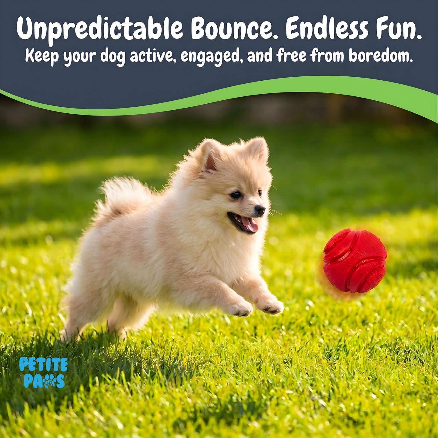 SuperFetch Dog Balls 1.5 Inch - Small Rubber Fetch Balls