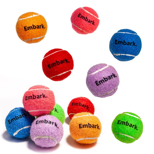 Petite Paws Squeaky Mini Tennis Balls for Small Dogs Puppy - 1.5 Inch - Dog Toys for Small Dogs, Training Positive Reinforcement, Interactive Fetch Tiny Squeaker Balls for Ball Launcher