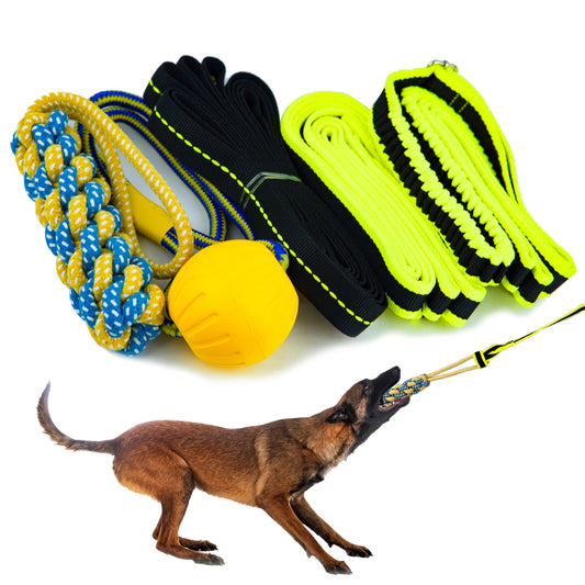 Petite Paws Tree Rope Toy for Dogs - Bungee Tug Toy for Small to Large Breeds - Outside Entertainment and Exercise Hanging Dog Toys Tug of War with Chew Rope and Ball Set (Reflective)