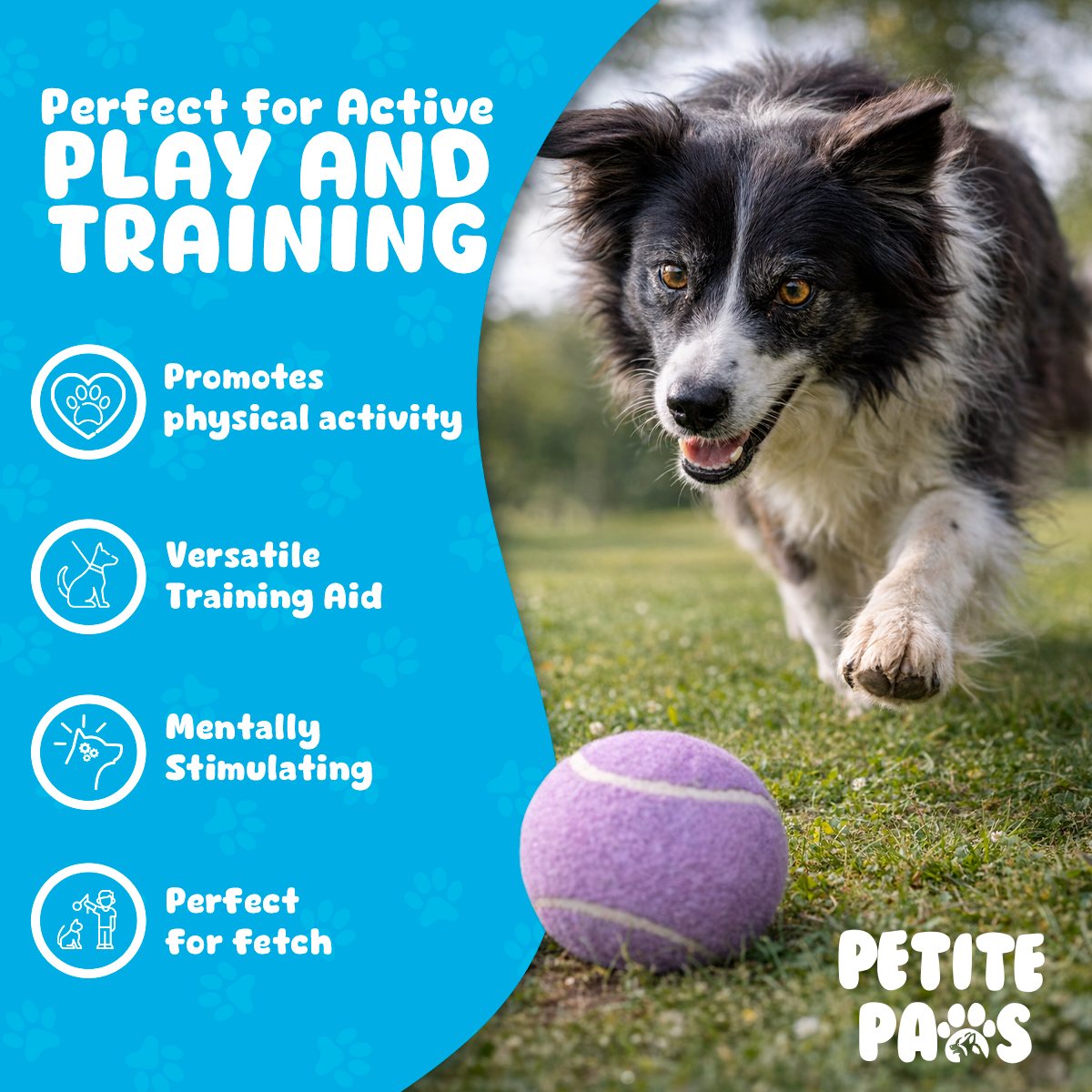 Colorful Squeaky Tennis Balls for Large Dogs and Puppies