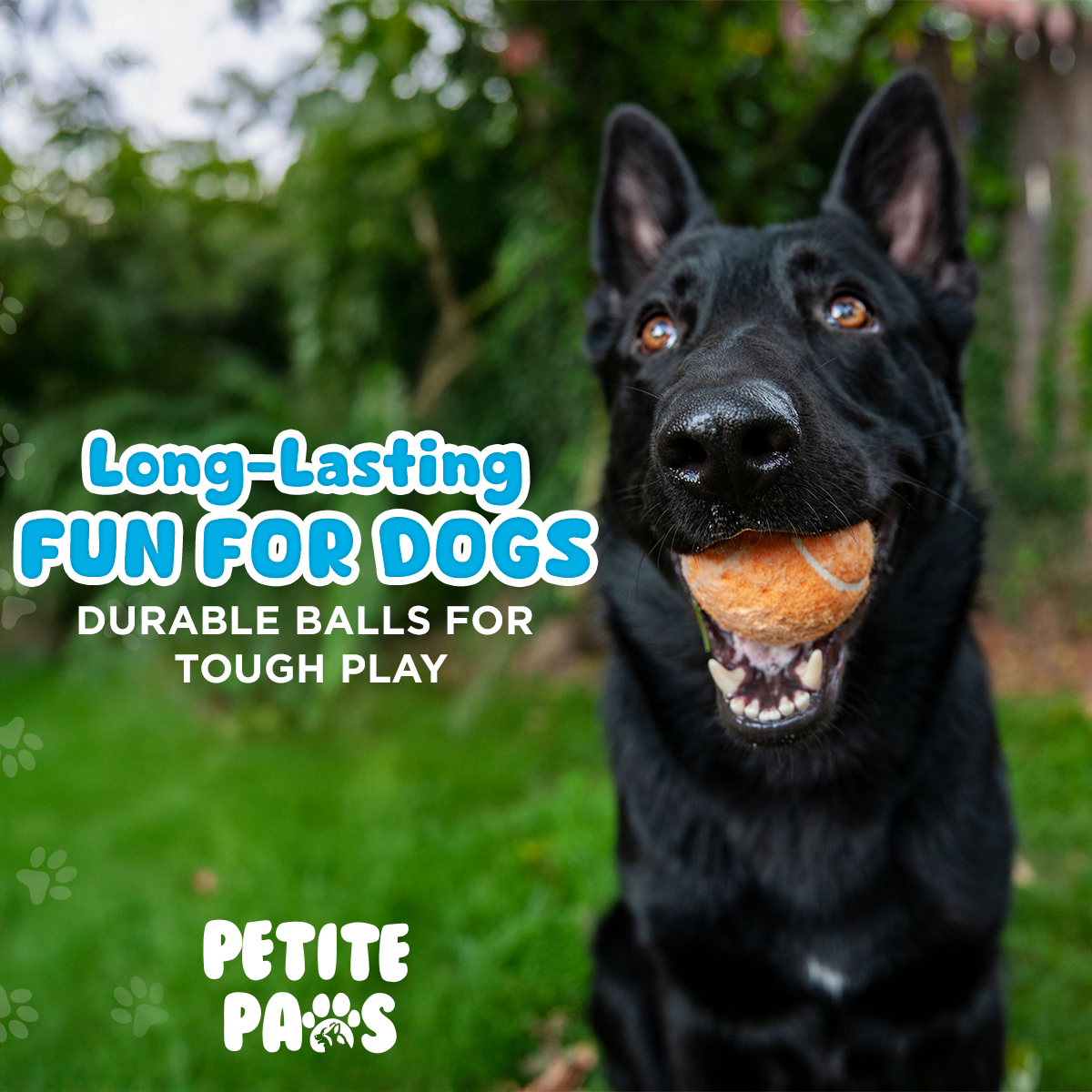 Colorful Squeaky Tennis Balls for Large Dogs and Puppies