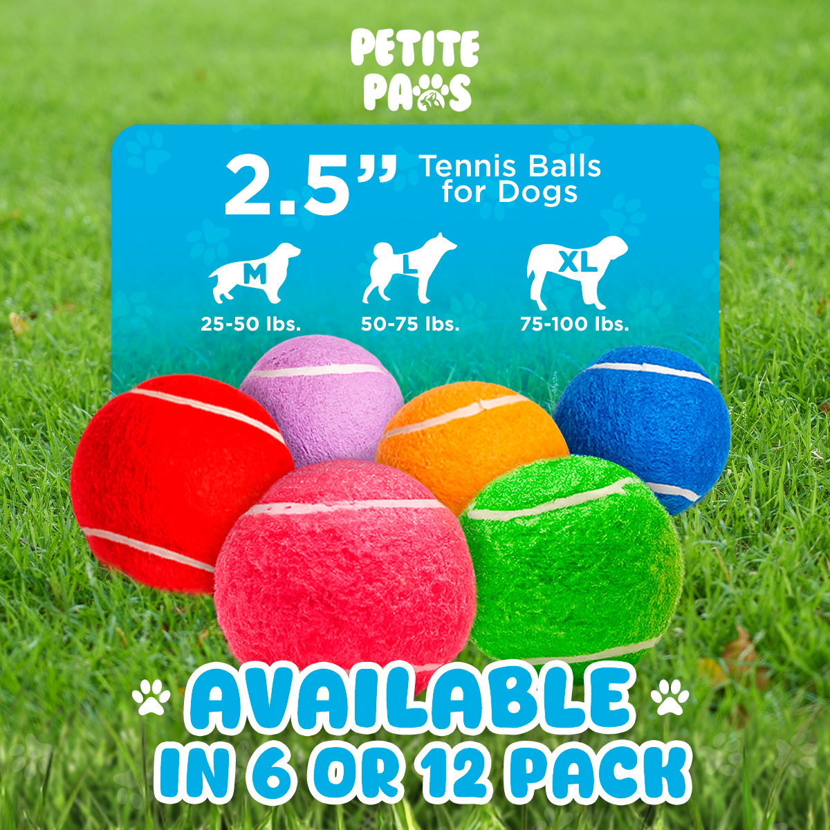 Colorful Squeaky Tennis Balls for Large Dogs and Puppies