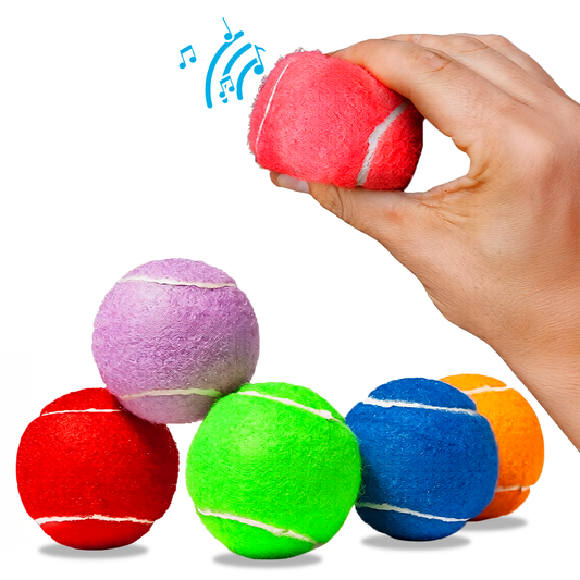 Colorful Squeaky Tennis Balls for Large Dogs and Puppies